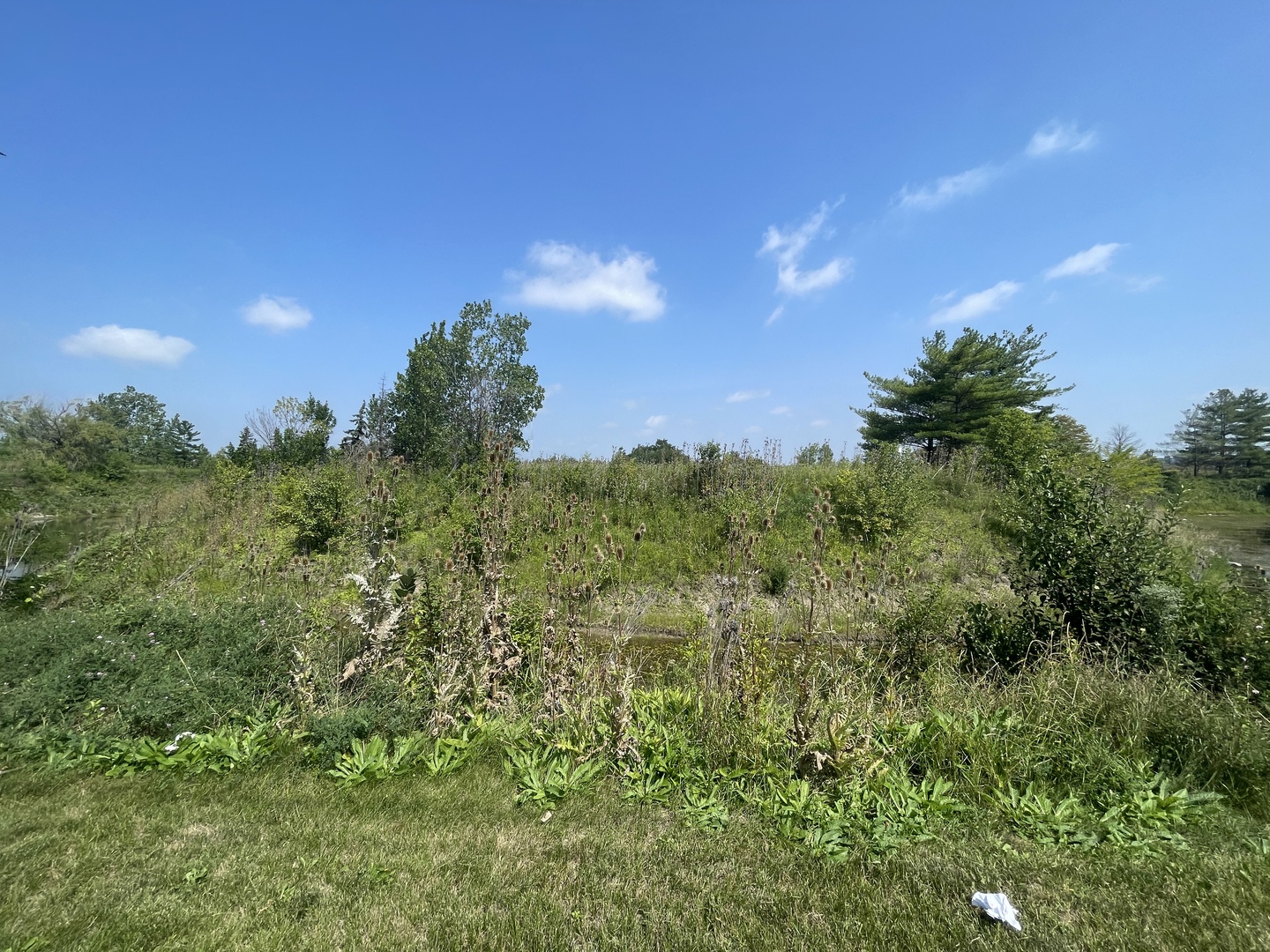 19099 Hickory Creek Drive Property Photo 13