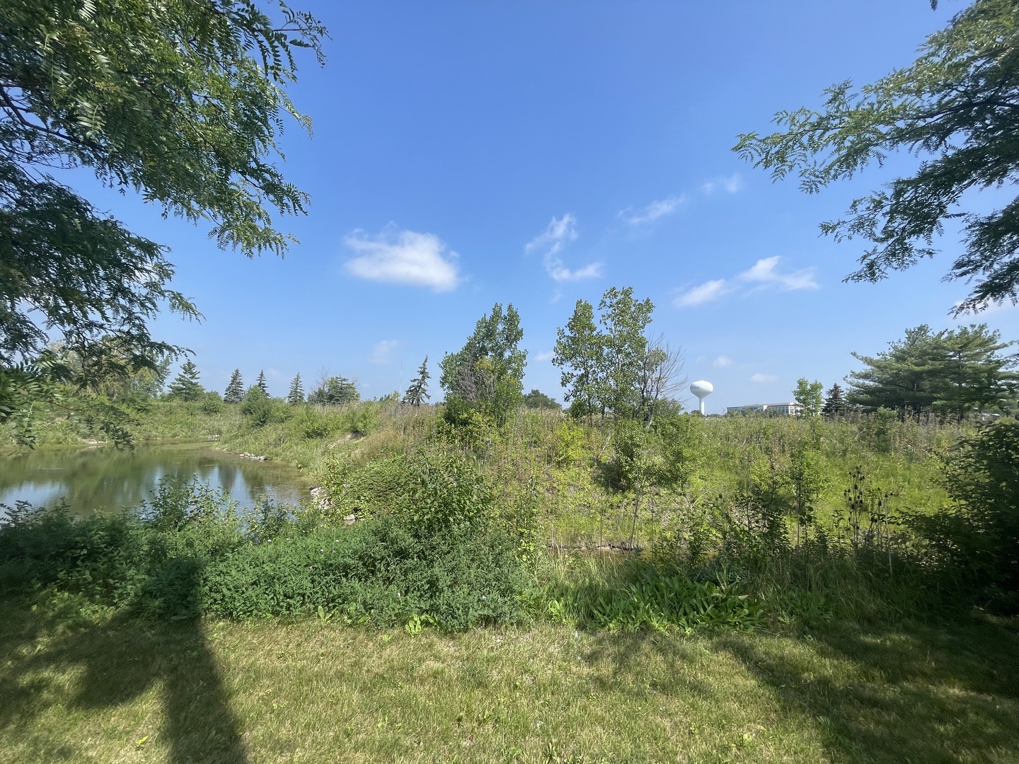 19099 Hickory Creek Drive Property Photo 15
