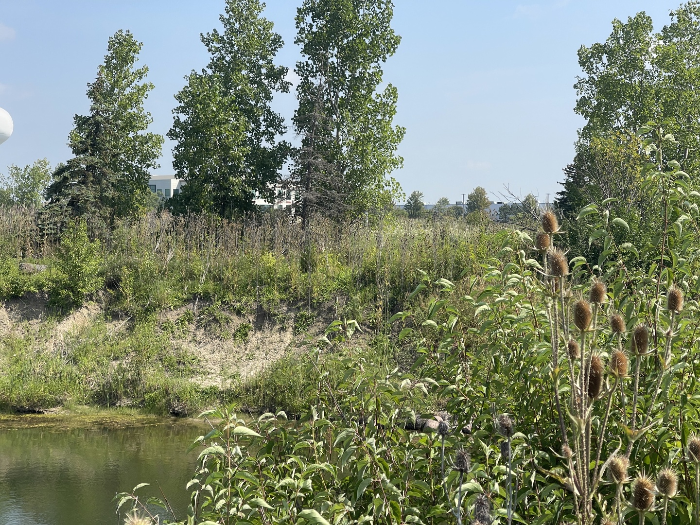 19099 Hickory Creek Drive Property Photo 16