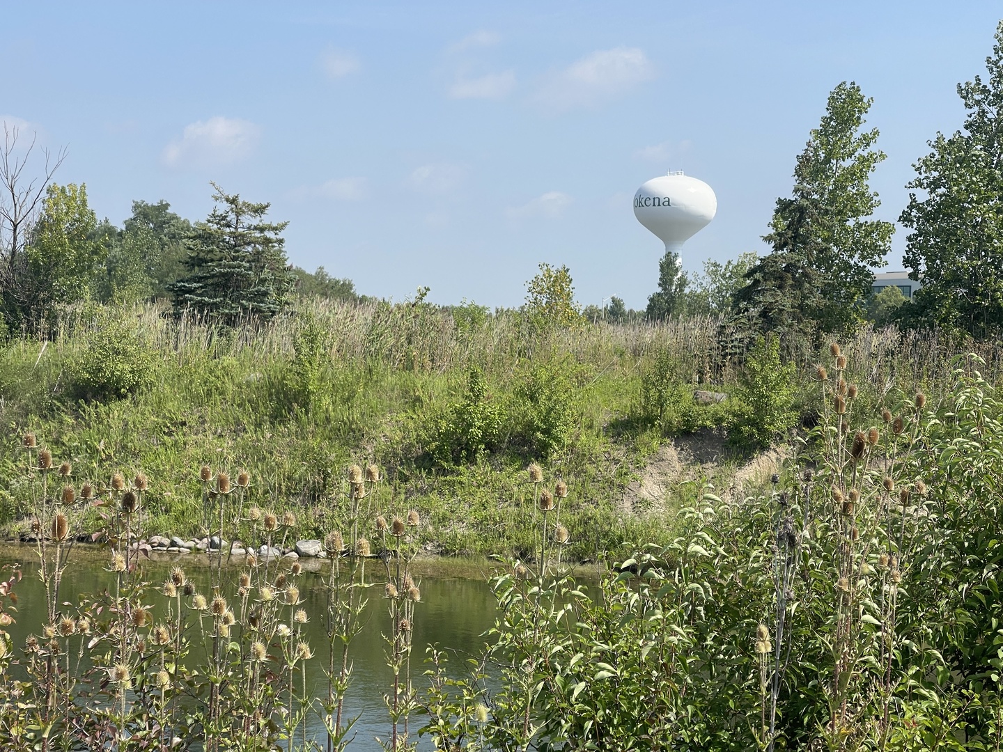 19099 Hickory Creek Drive Property Photo 19