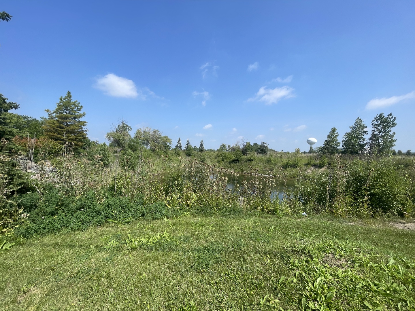 19099 Hickory Creek Drive Property Photo 20