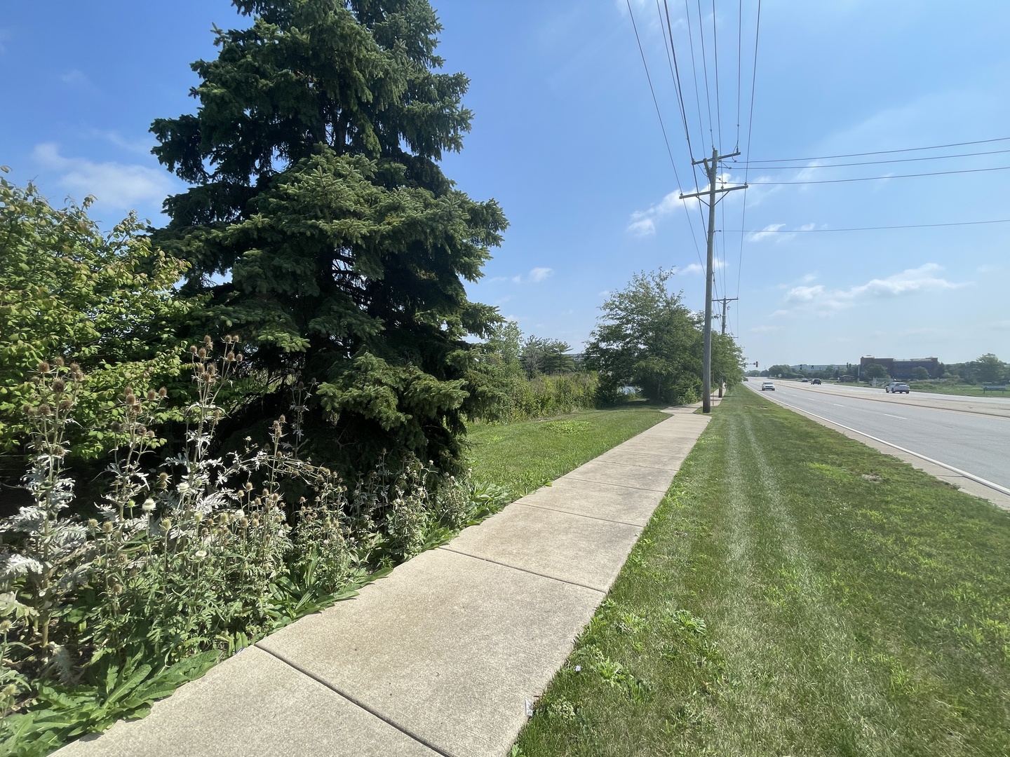 19099 Hickory Creek Drive Property Photo 21