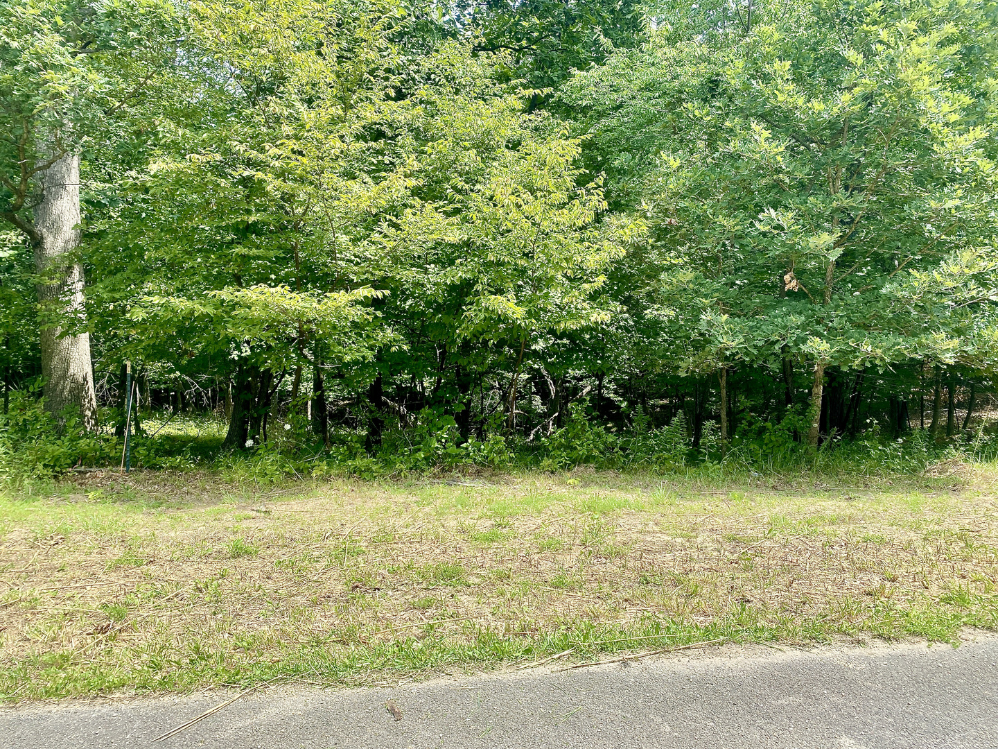 Lot 55 Eagle Chase Drive Property Photo 1