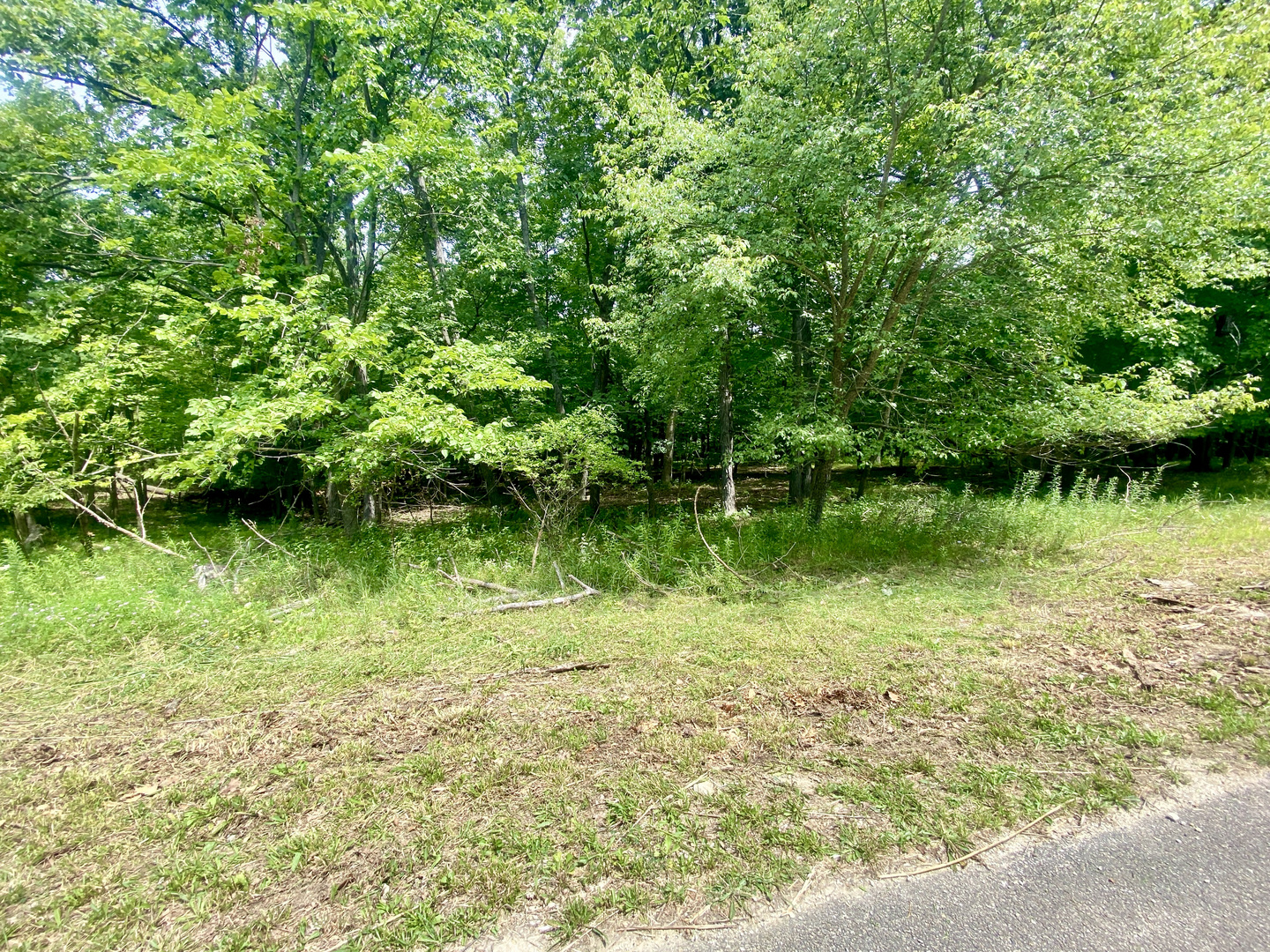 Lot 55 Eagle Chase Drive Property Photo 2
