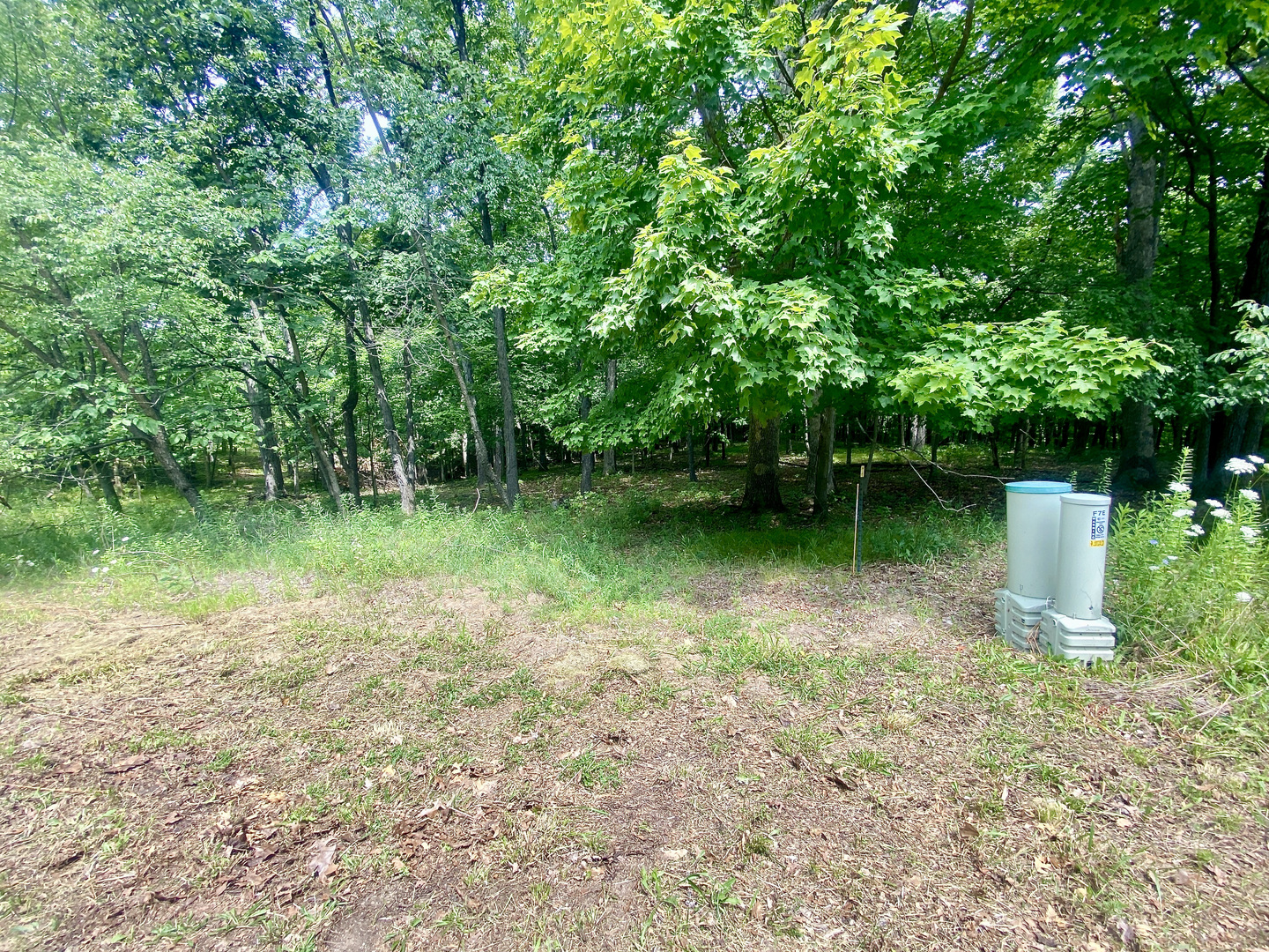 Lot 55 Eagle Chase Drive Property Photo 5