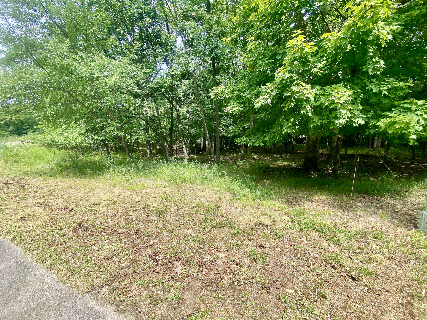 Lot 55 Eagle Chase Drive Property Photo 6