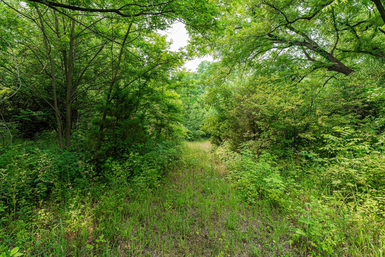 5n024 Route 31 Property Photo 3