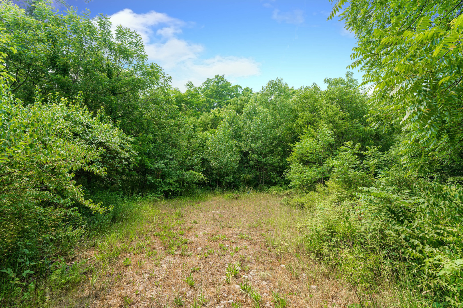 5n024 Route 31 Property Photo 4