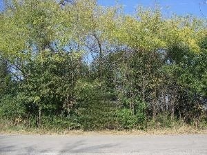 0 151st & Macgregor Street Property Photo 1