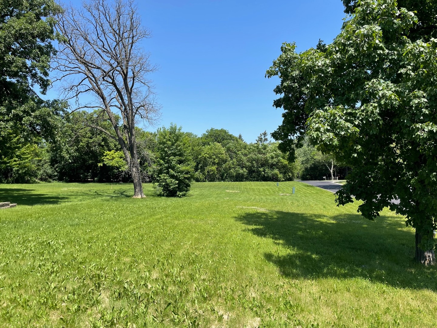 856 Forest Avenue Property Photo