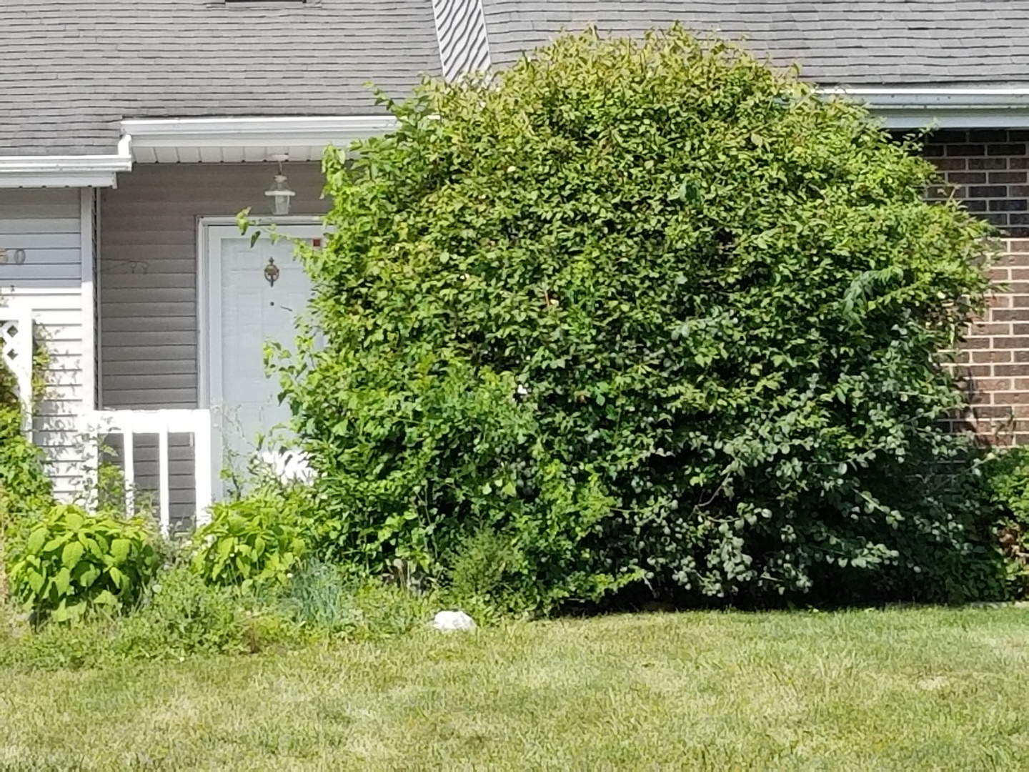 450 Tanglewood Drive Property Photo 1