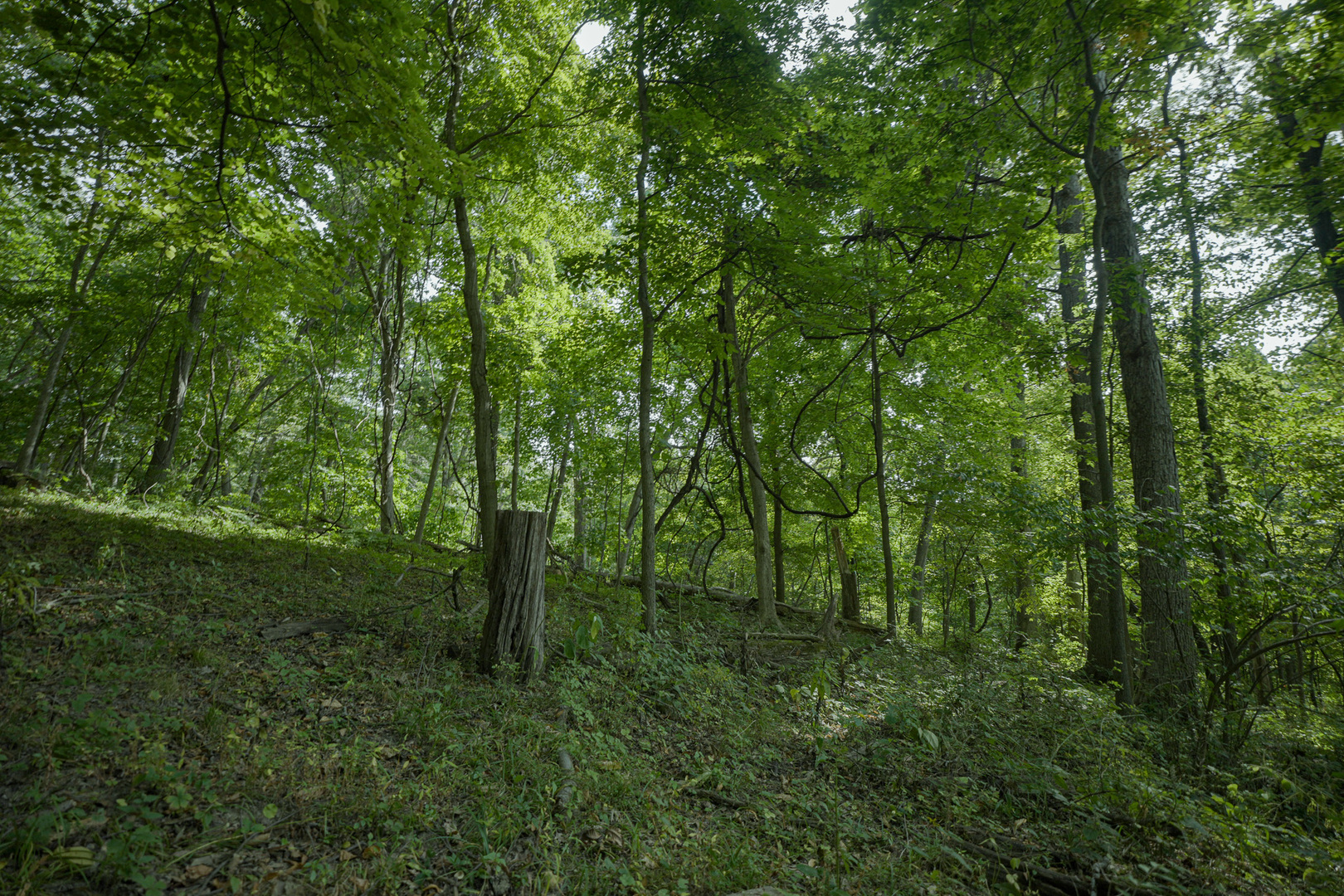 4820 Kopper Pond Road Property Photo 1