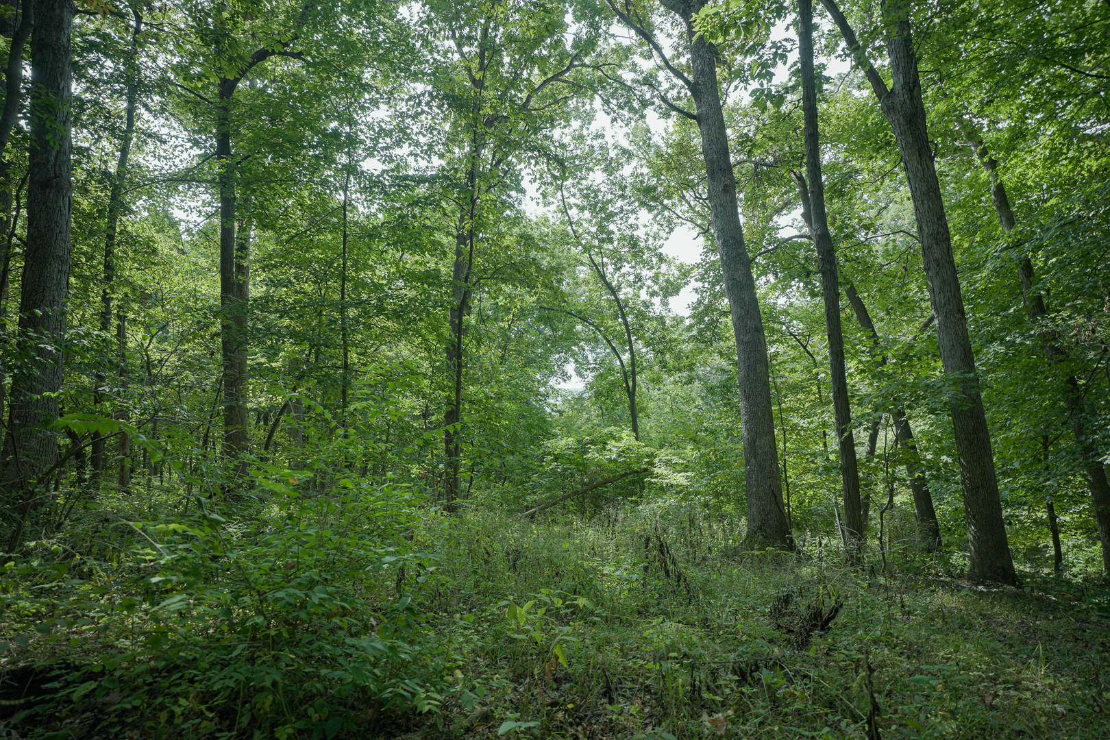4820 Kopper Pond Road Property Photo 2