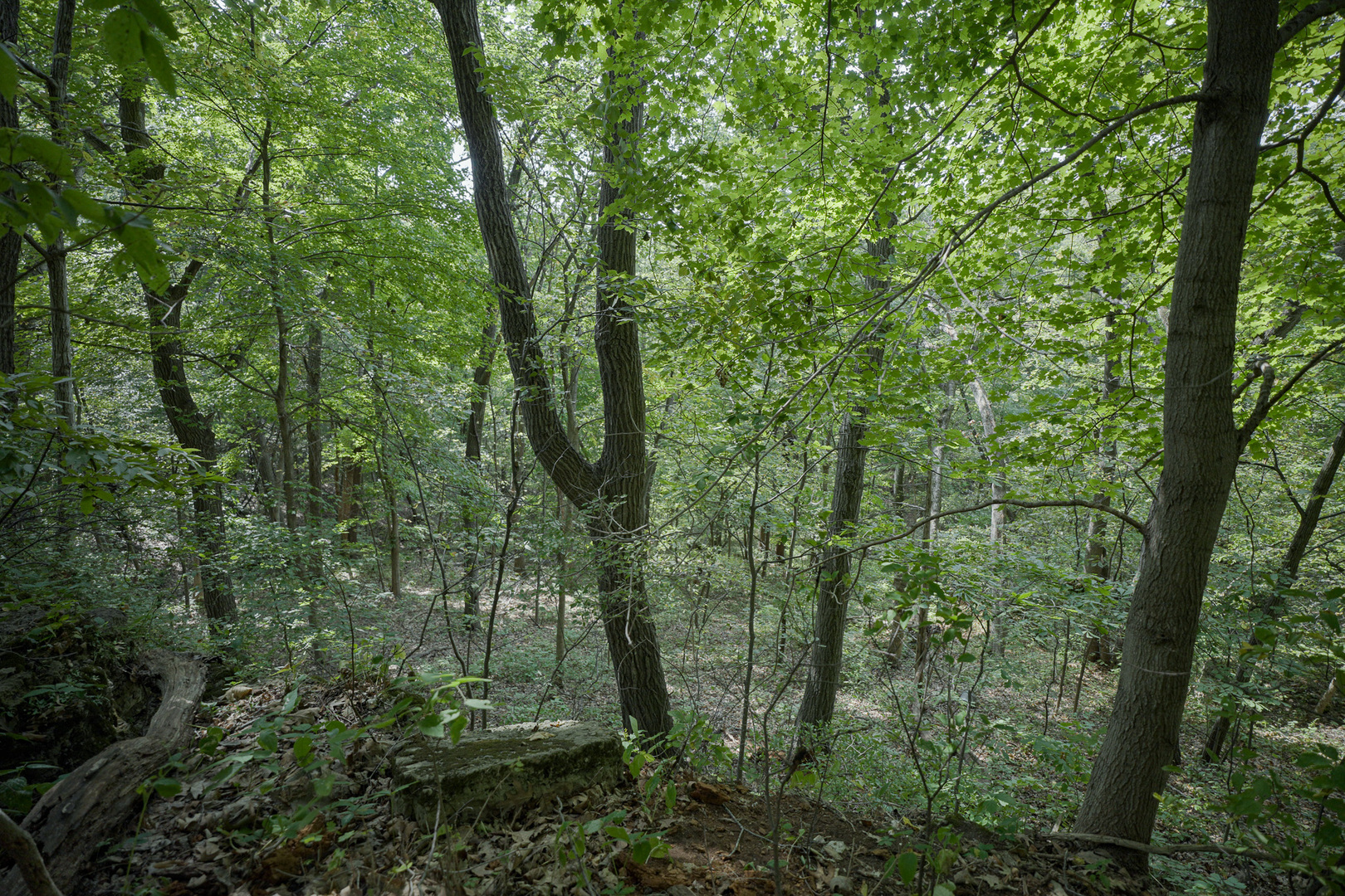 4820 Kopper Pond Road Property Photo 3