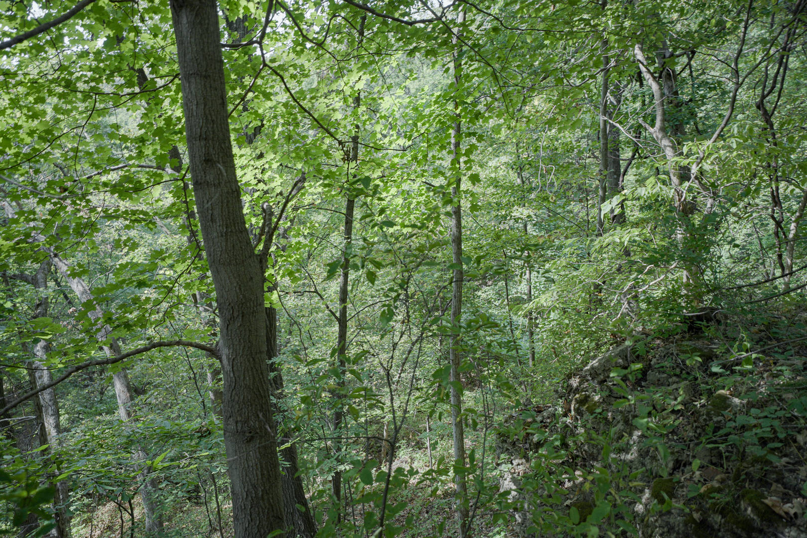 4820 Kopper Pond Road Property Photo 4