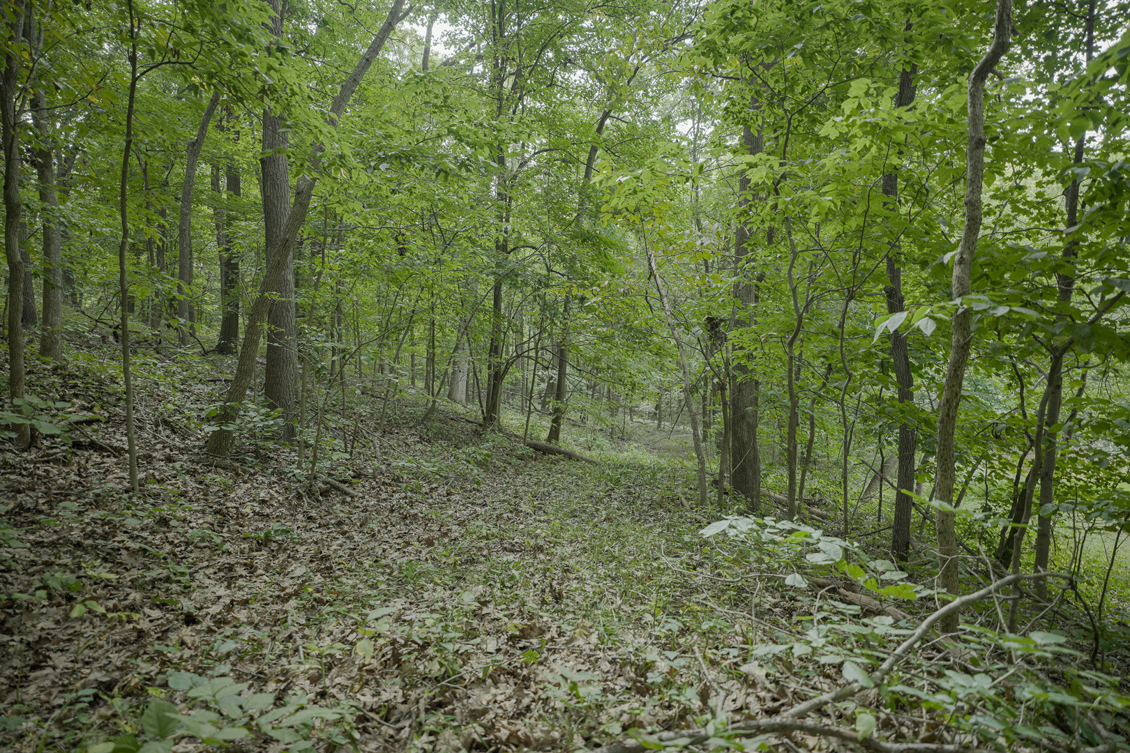4820 Kopper Pond Road Property Photo 7