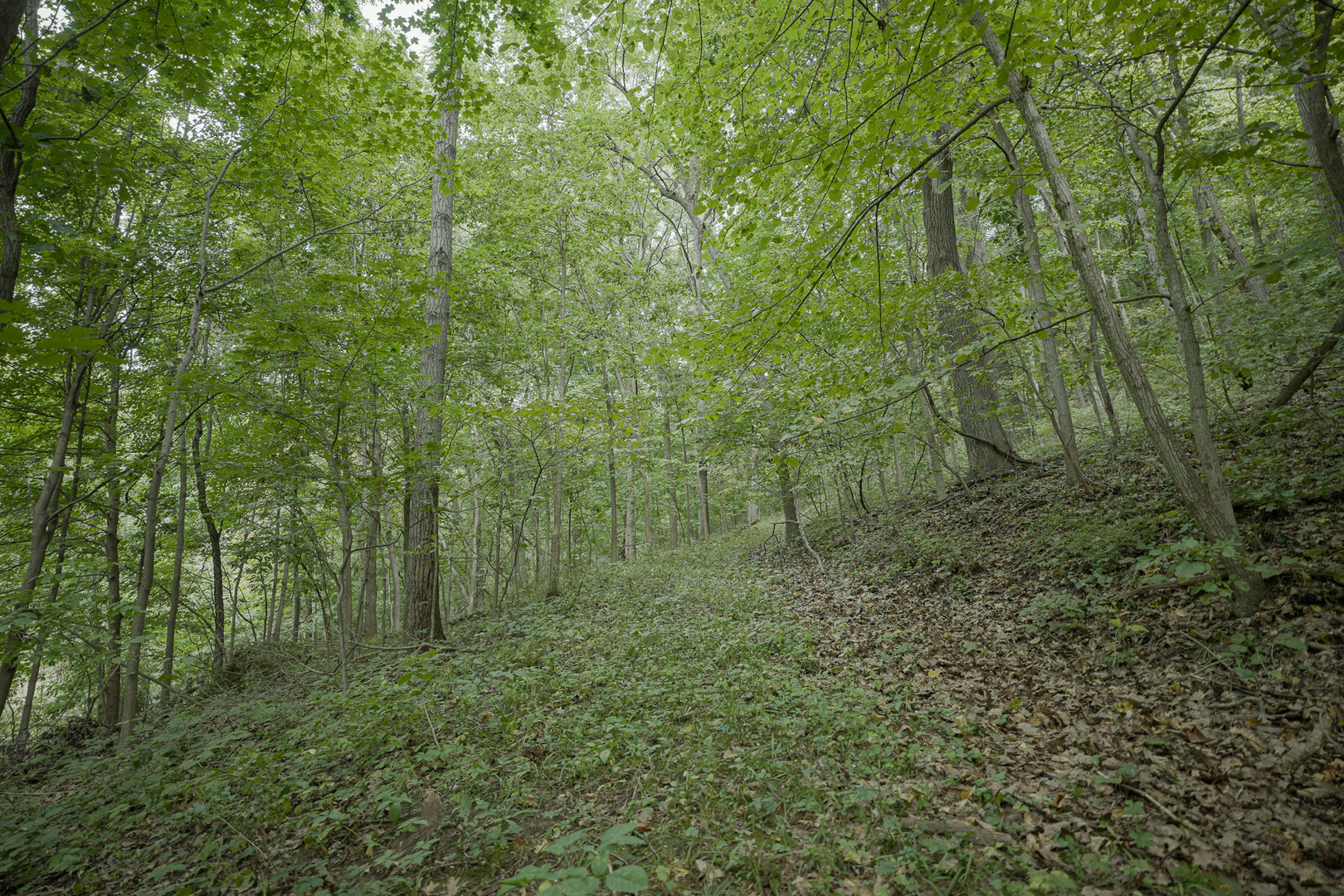 4820 Kopper Pond Road Property Photo 8