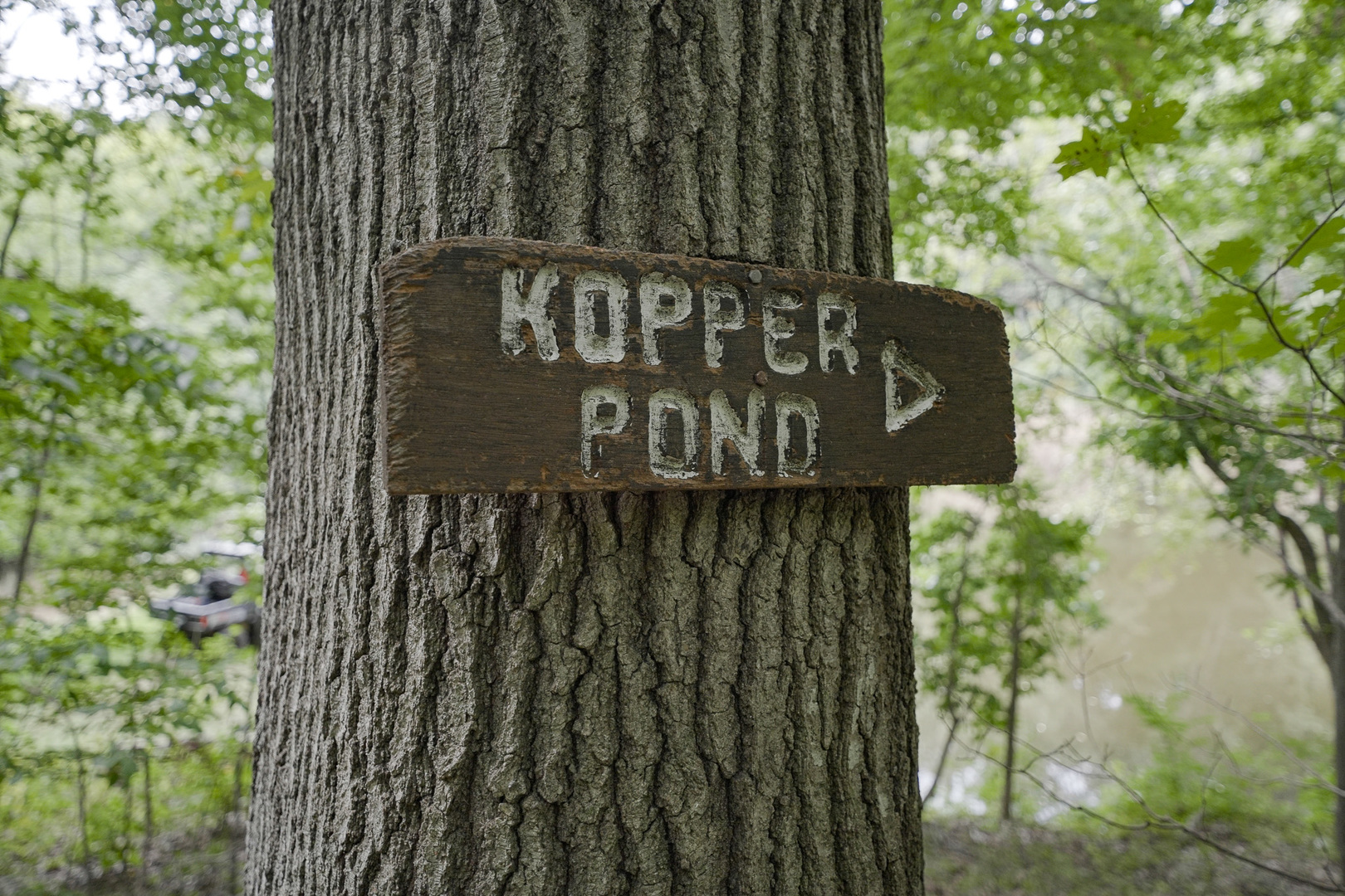 4820 Kopper Pond Road Property Photo 10