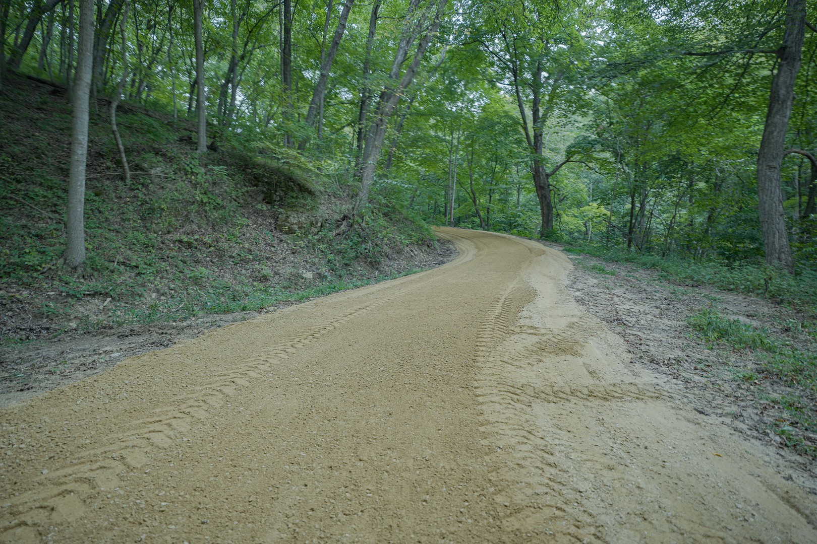4820 Kopper Pond Road Property Photo 11