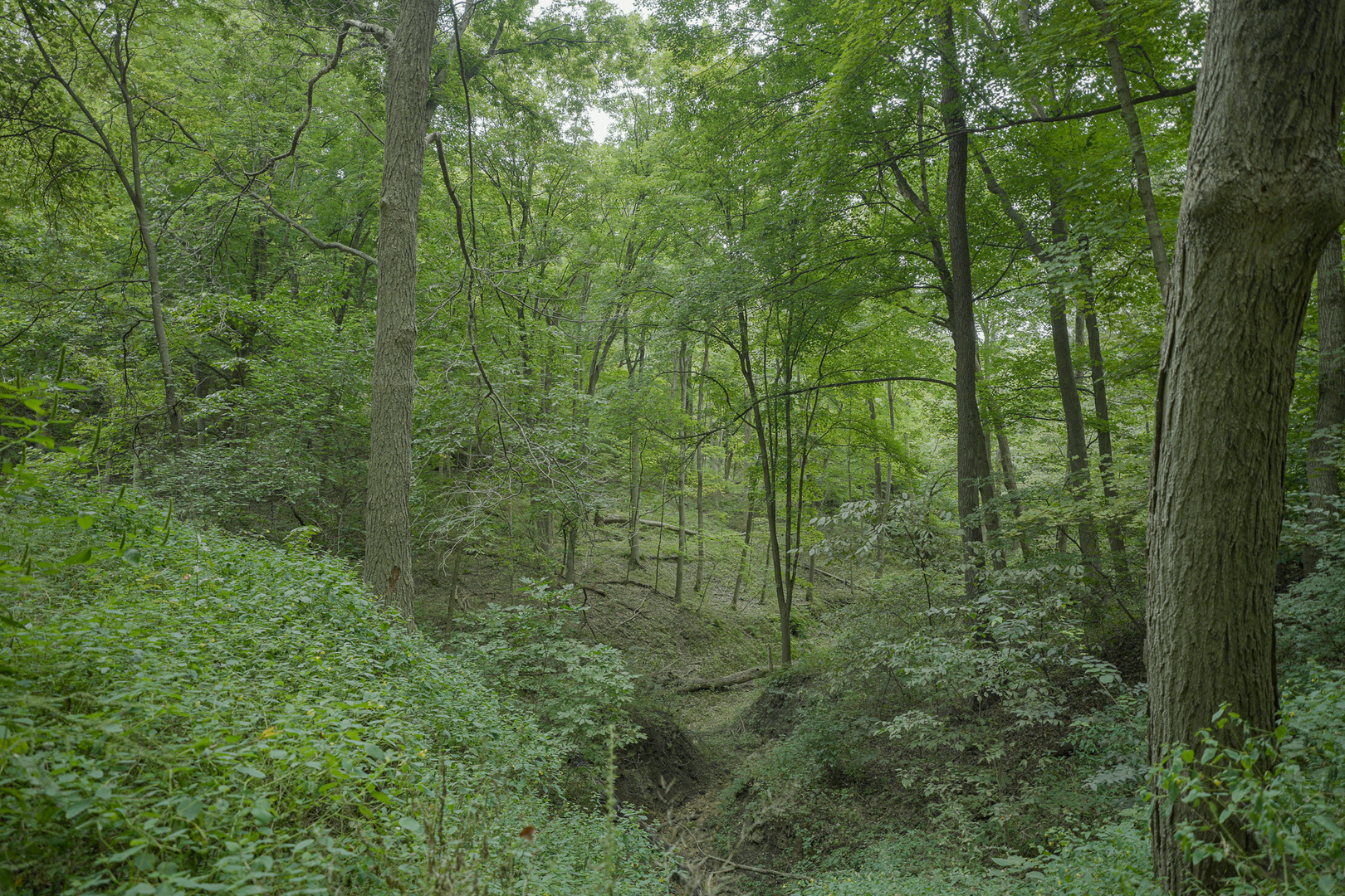 4820 Kopper Pond Road Property Photo 12