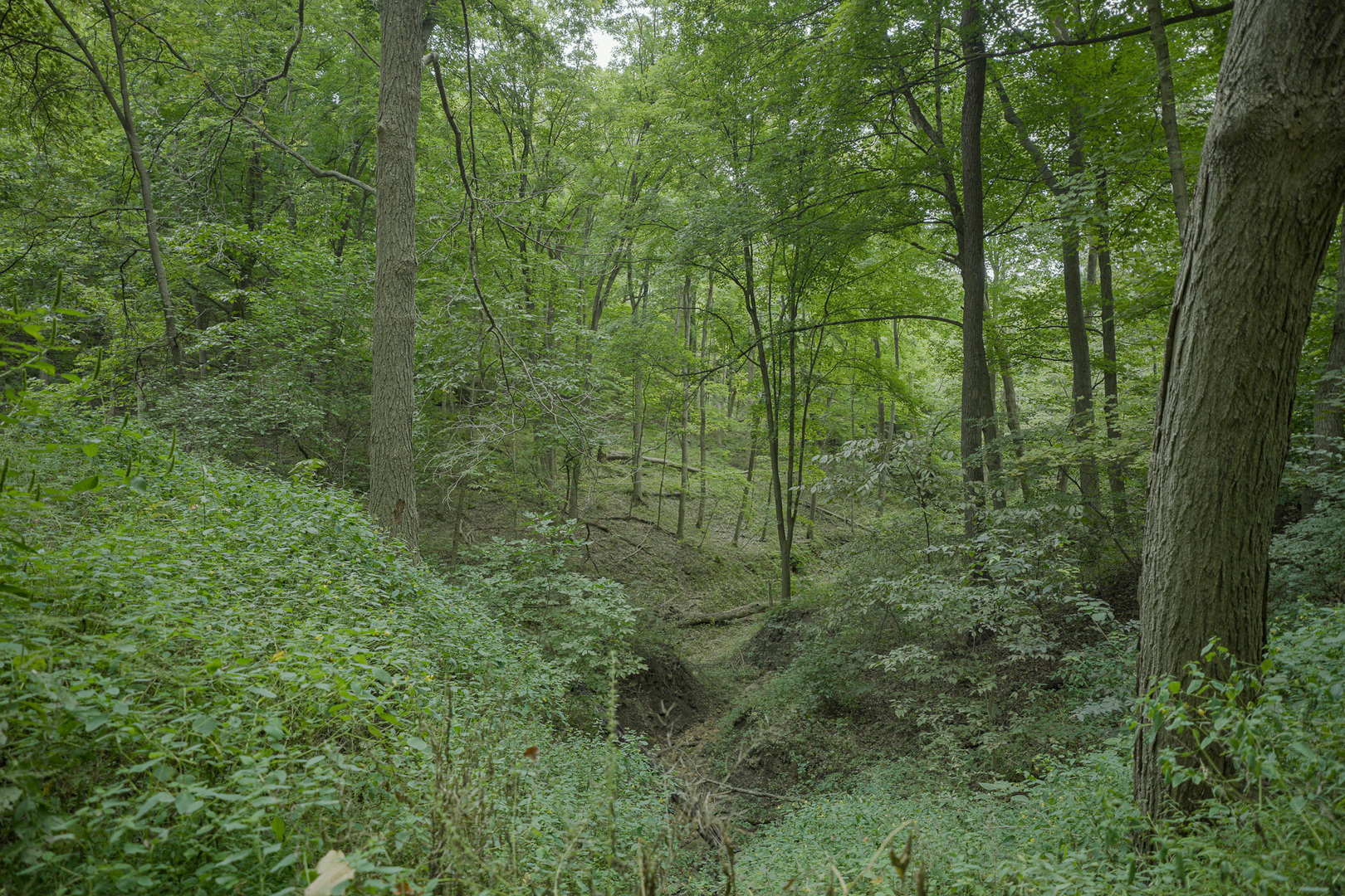 4820 Kopper Pond Road Property Photo 13