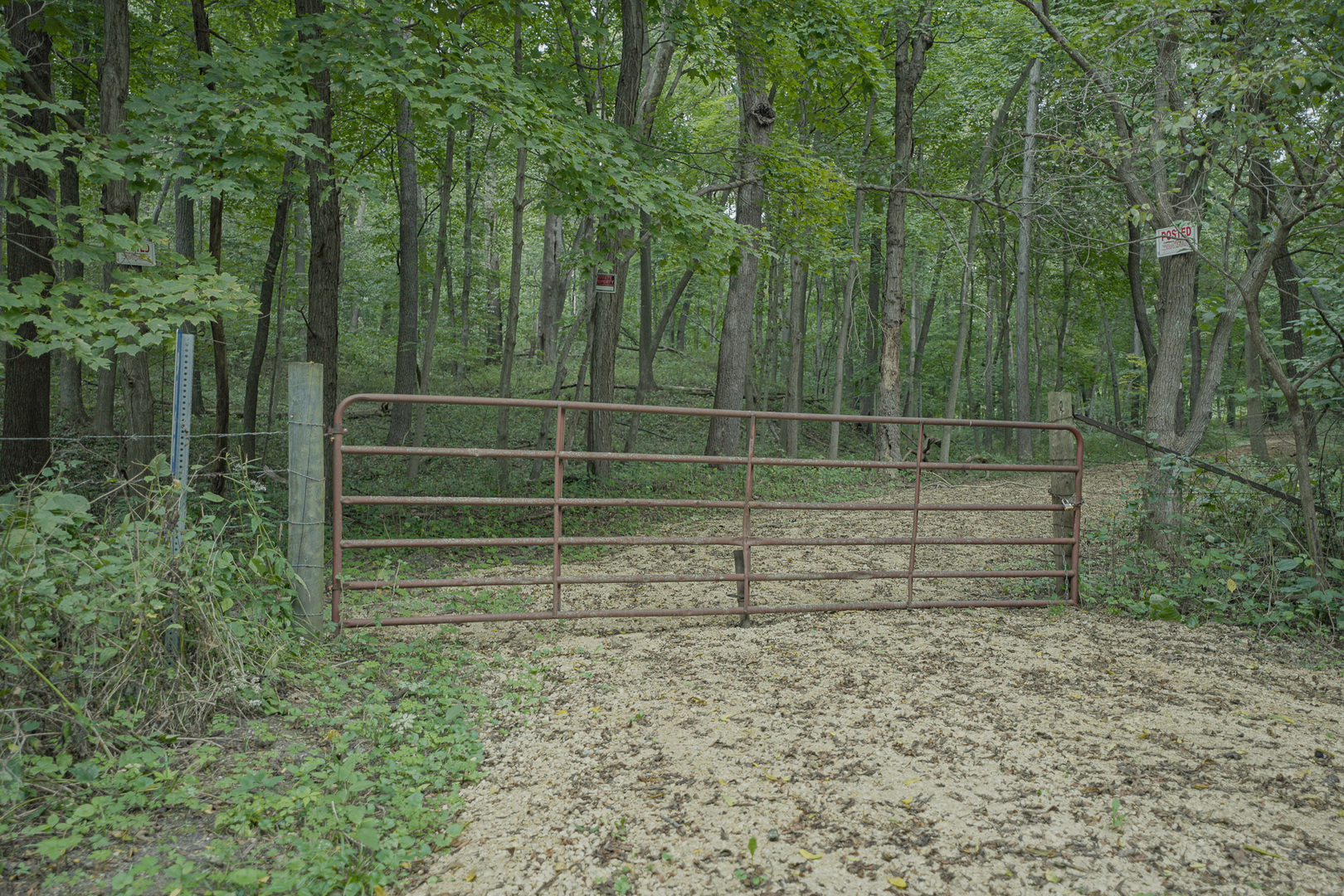 4820 Kopper Pond Road Property Photo 14