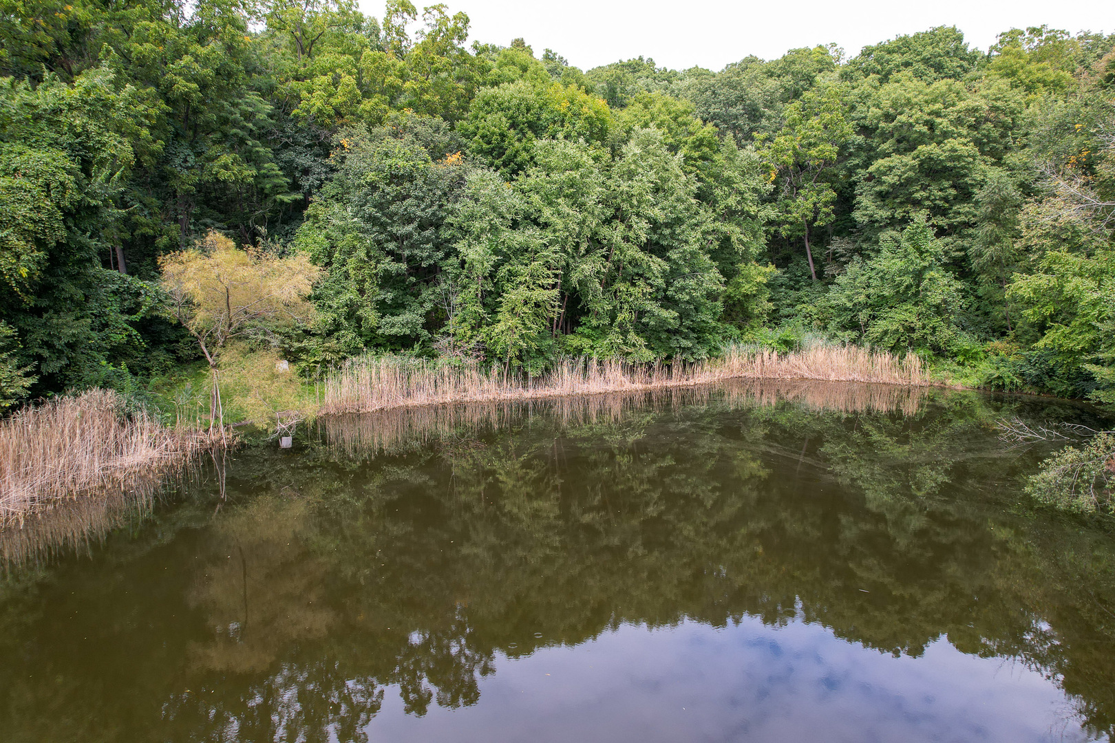 4820 Kopper Pond Road Property Photo 16