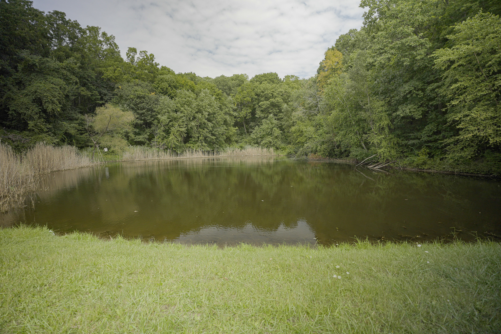 4820 Kopper Pond Road Property Photo 17