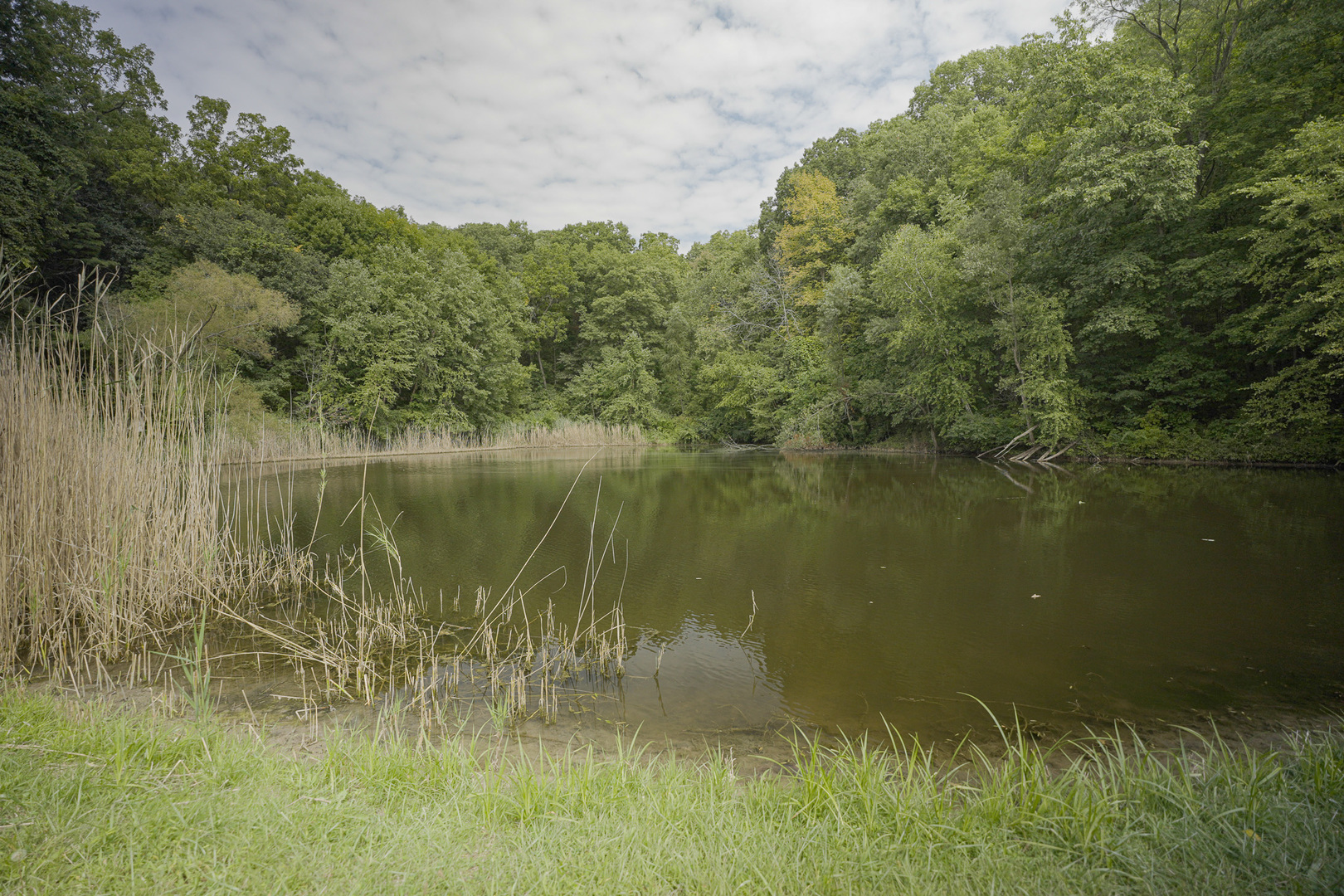 4820 Kopper Pond Road Property Photo 18