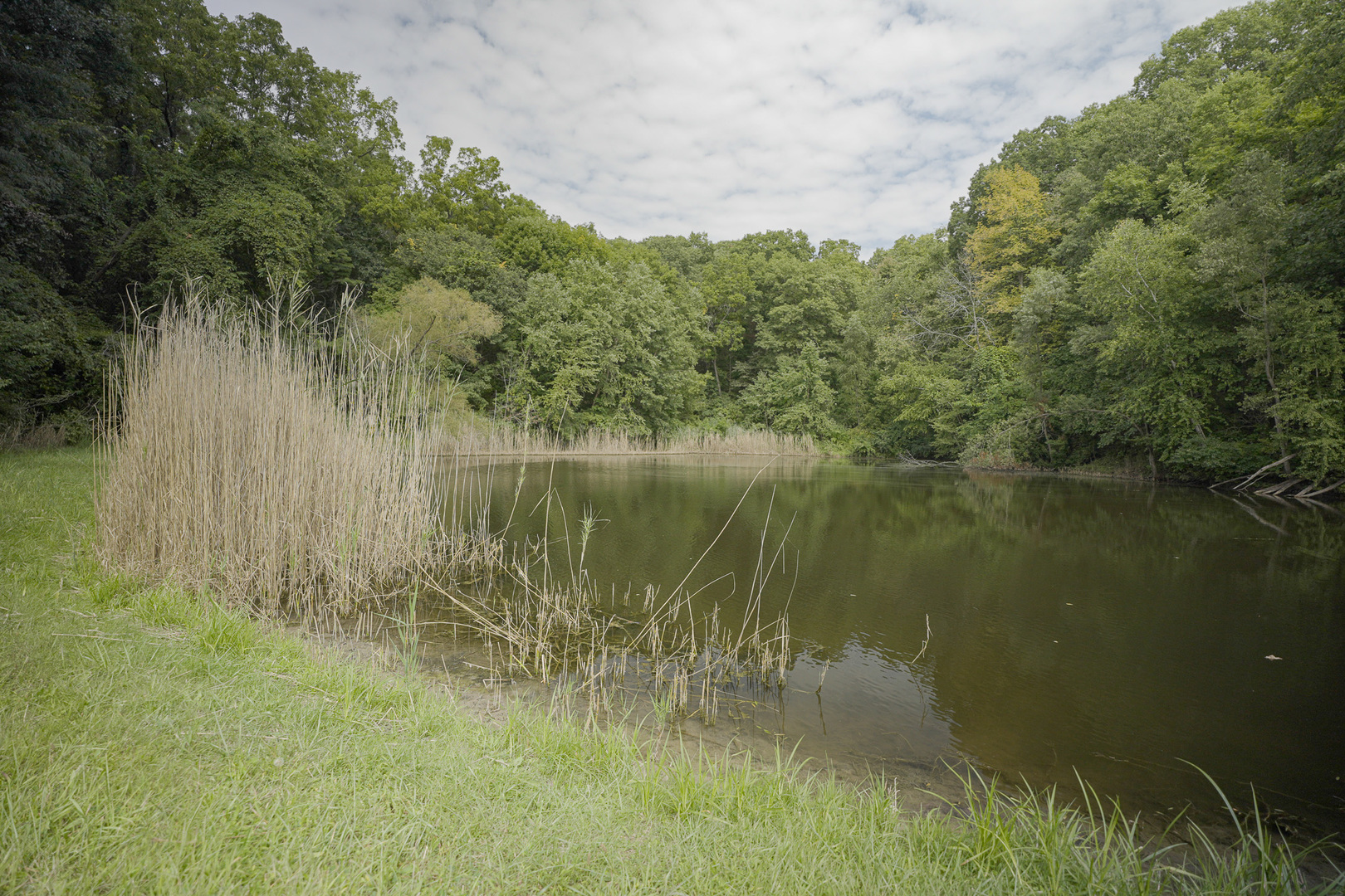 4820 Kopper Pond Road Property Photo 19