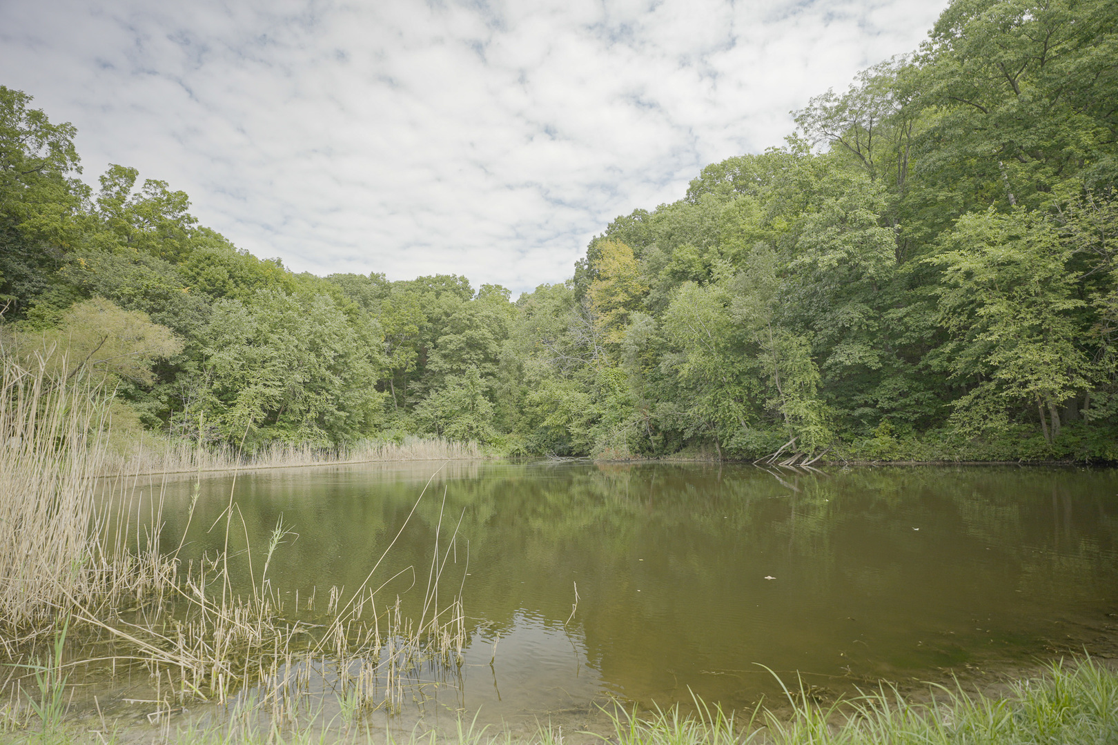 4820 Kopper Pond Road Property Photo 20