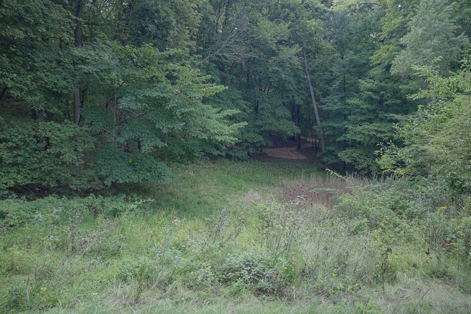4820 Kopper Pond Road Property Photo 22