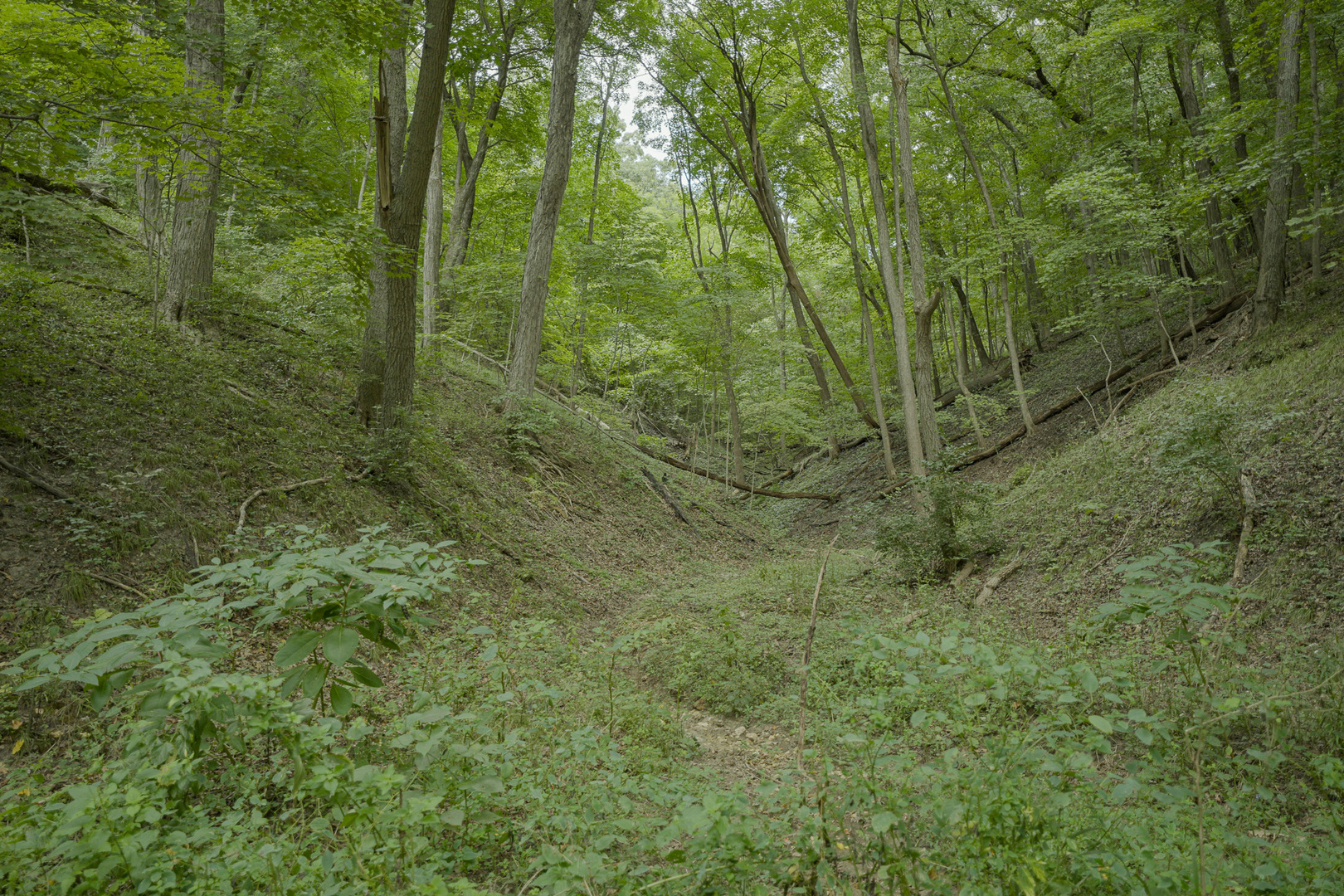 4820 Kopper Pond Road Property Photo 23