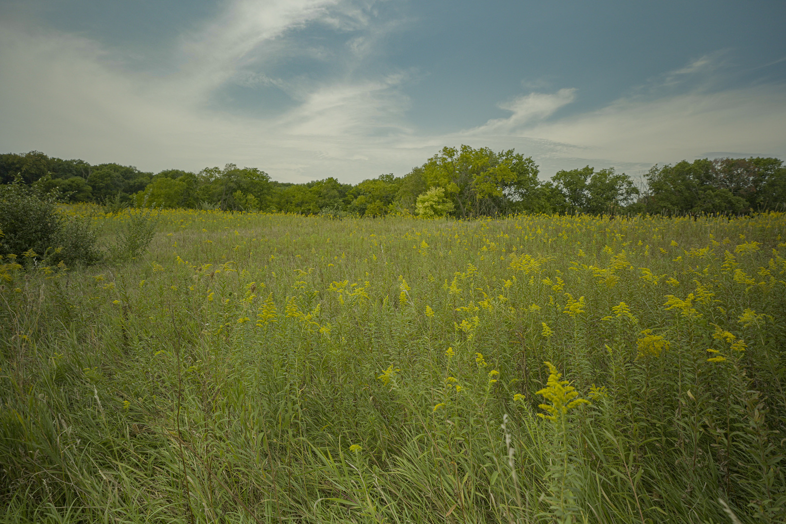4820 Kopper Pond Road Property Photo 24