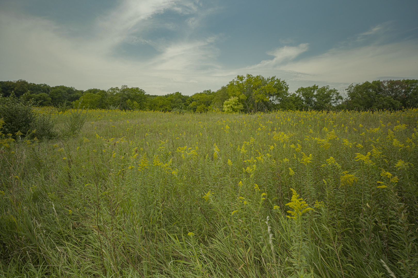 4820 Kopper Pond Road Property Photo 25