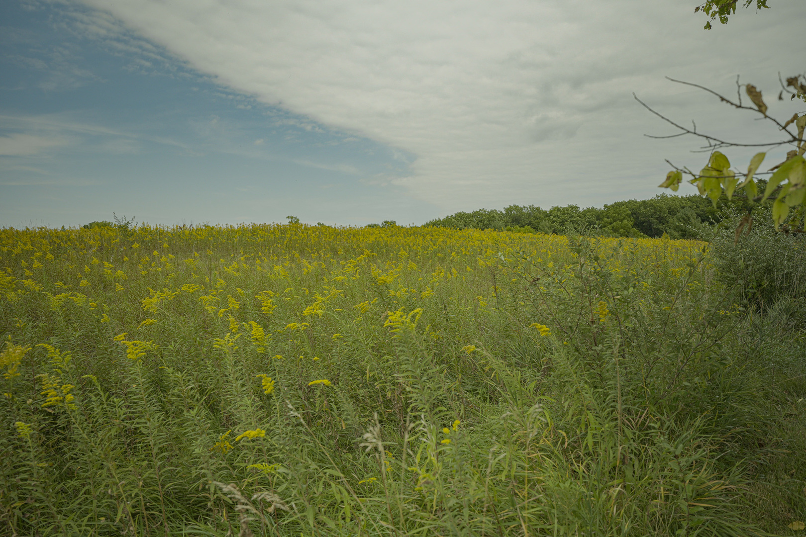4820 Kopper Pond Road Property Photo 26