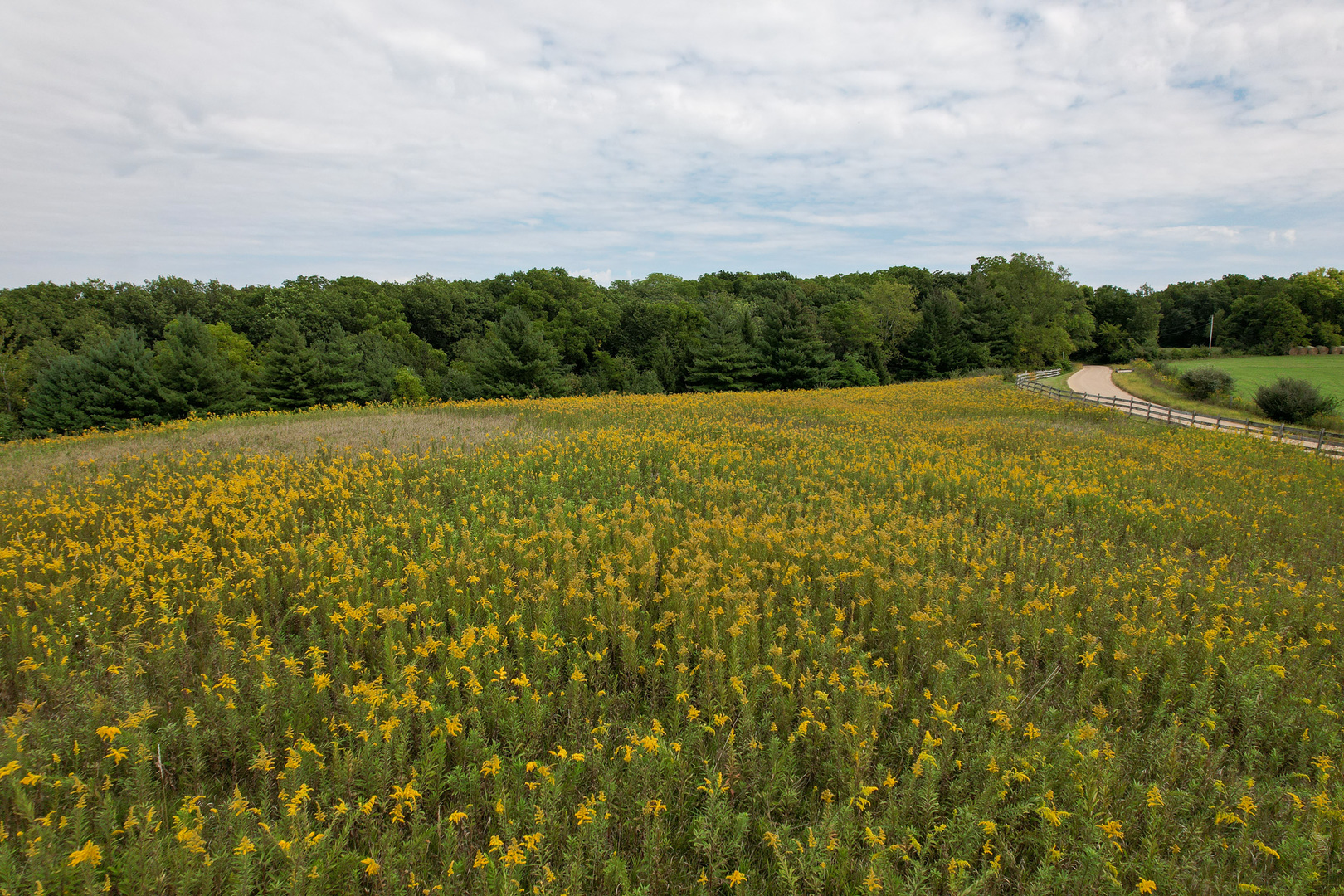 4820 Kopper Pond Road Property Photo 36