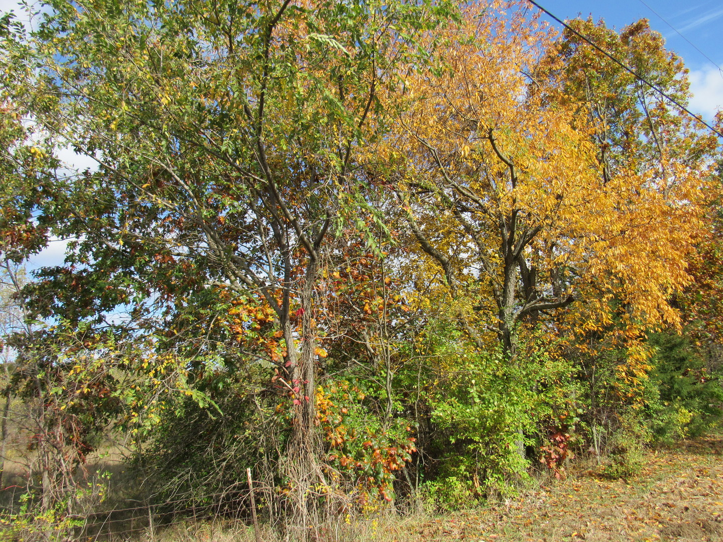 0000 W Smiley Road Property Photo 1