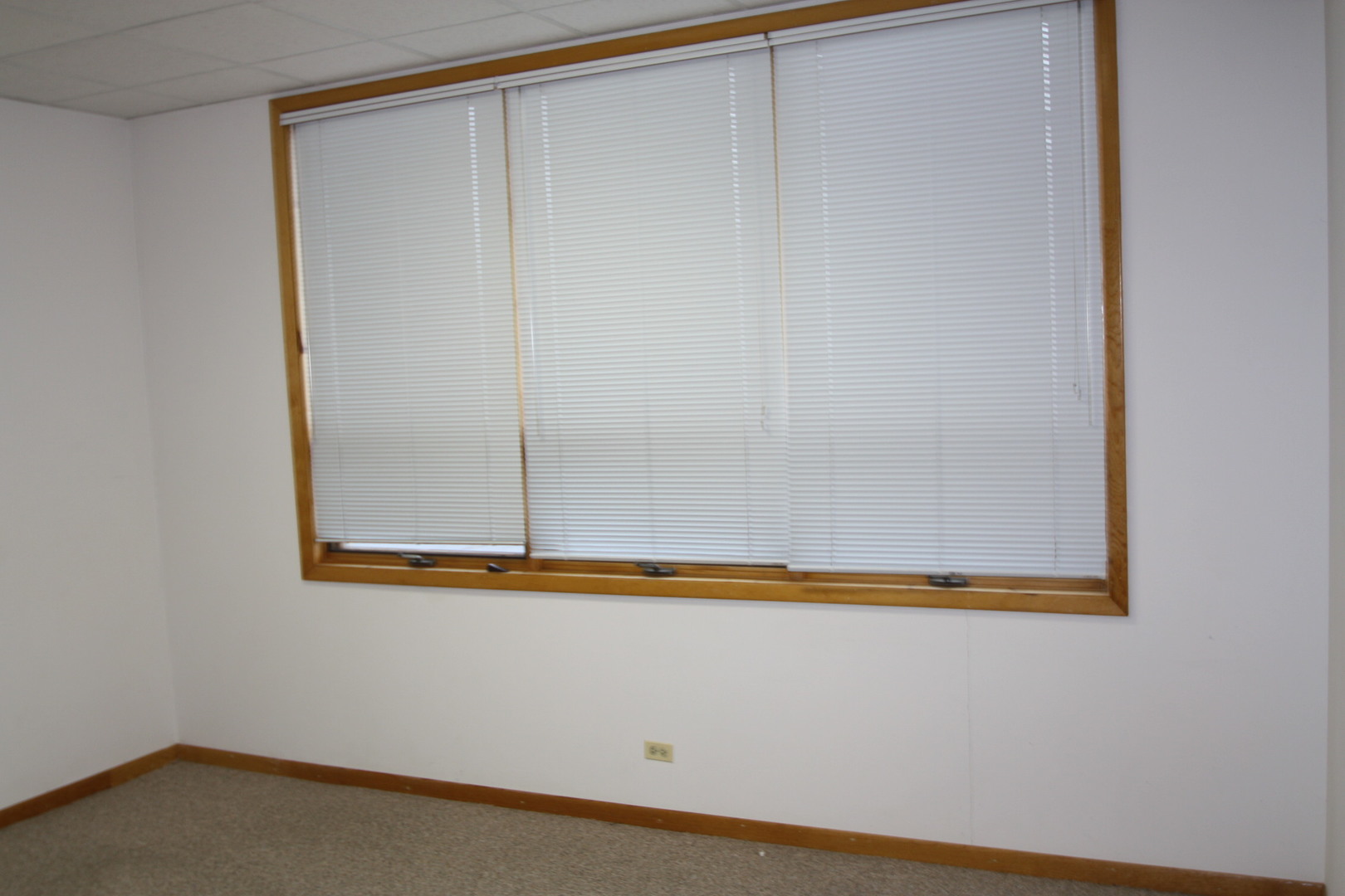 115 Commerce Drive Property Photo 4
