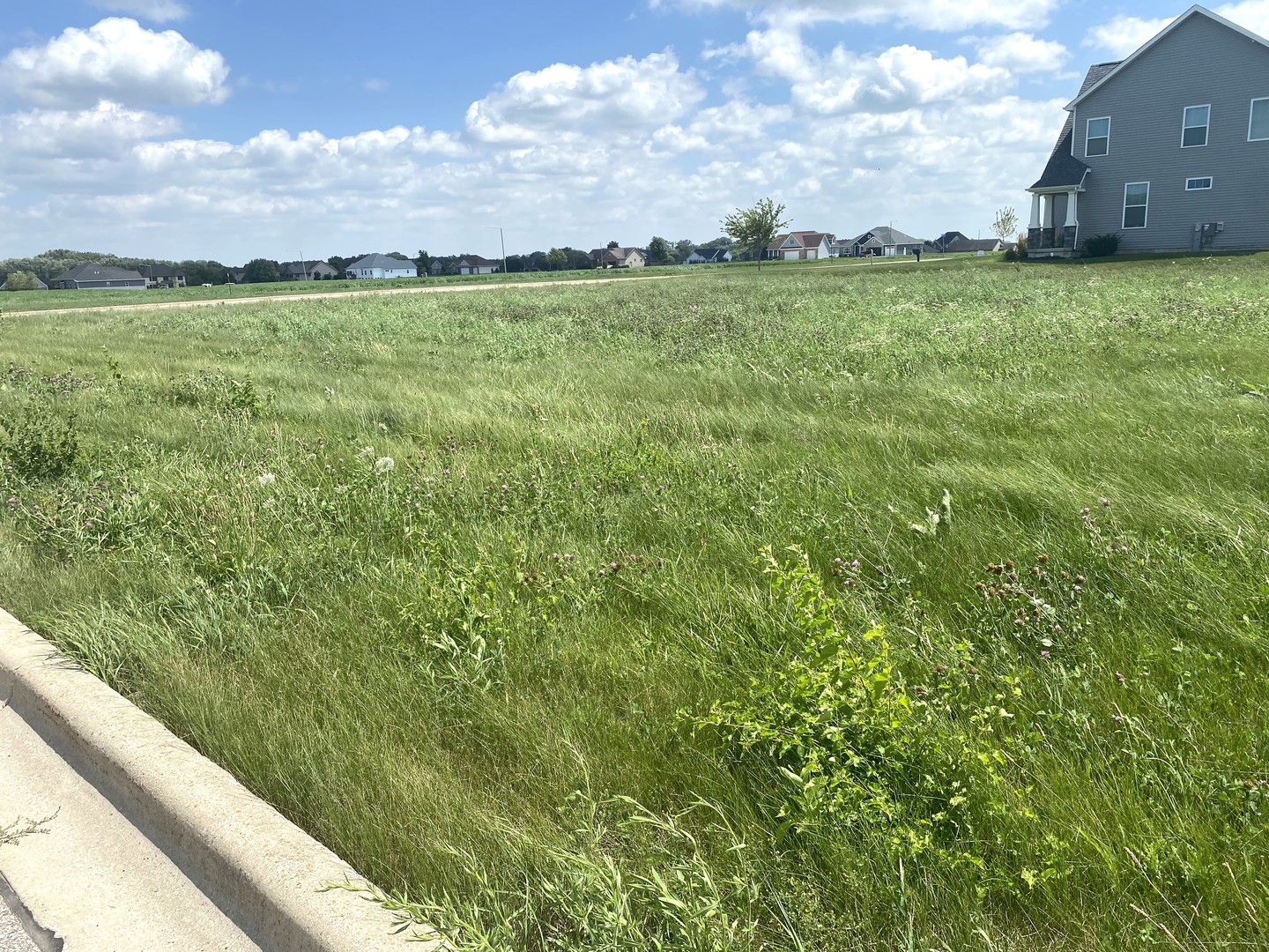 Lot 256 Parkside Drive Property Photo 1