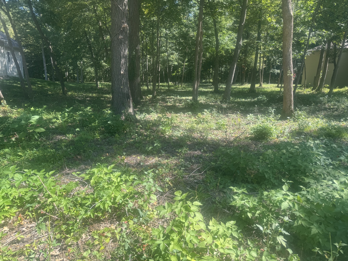 1108 Oakview Lane Property Photo 3