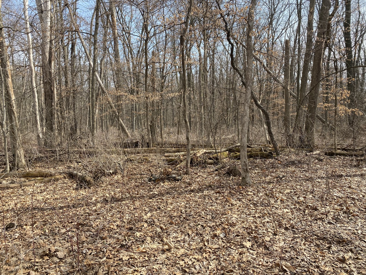 1108 Oakview Lane Property Photo 4