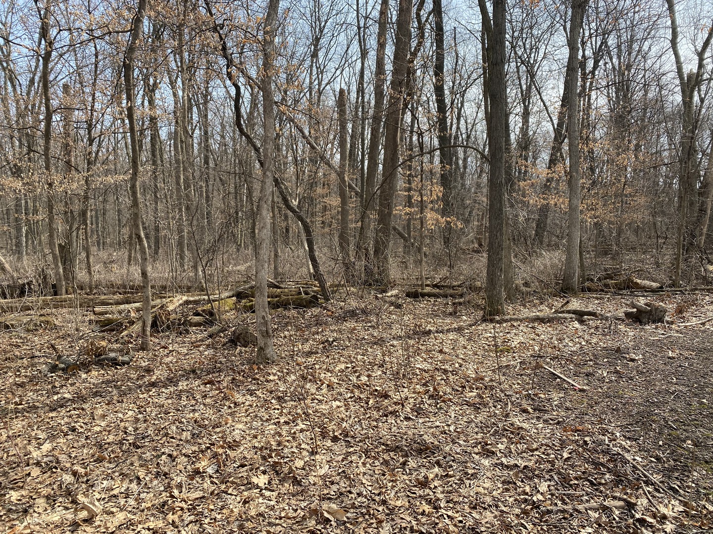 1108 Oakview Lane Property Photo 5