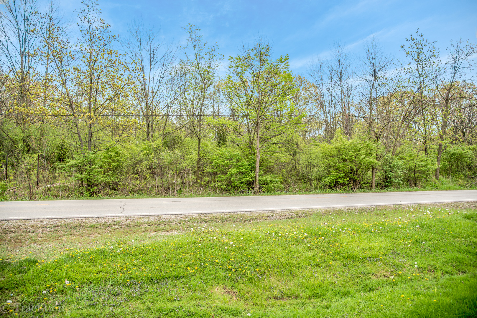 1365 State Street Property Photo 4