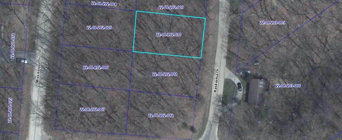 703 Kaskaskia Drive Property Photo 2