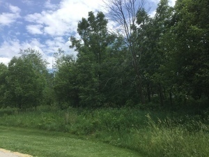 Lot 4 Williams Circle Property Photo 2