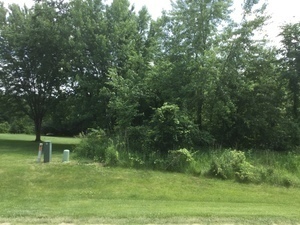 Lot 4 Williams Circle Property Photo 3