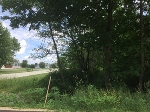 Lot 4 Williams Circle Property Photo 4