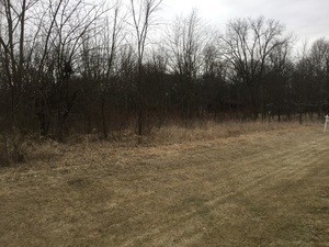 Lot 4 Williams Circle Property Photo 5