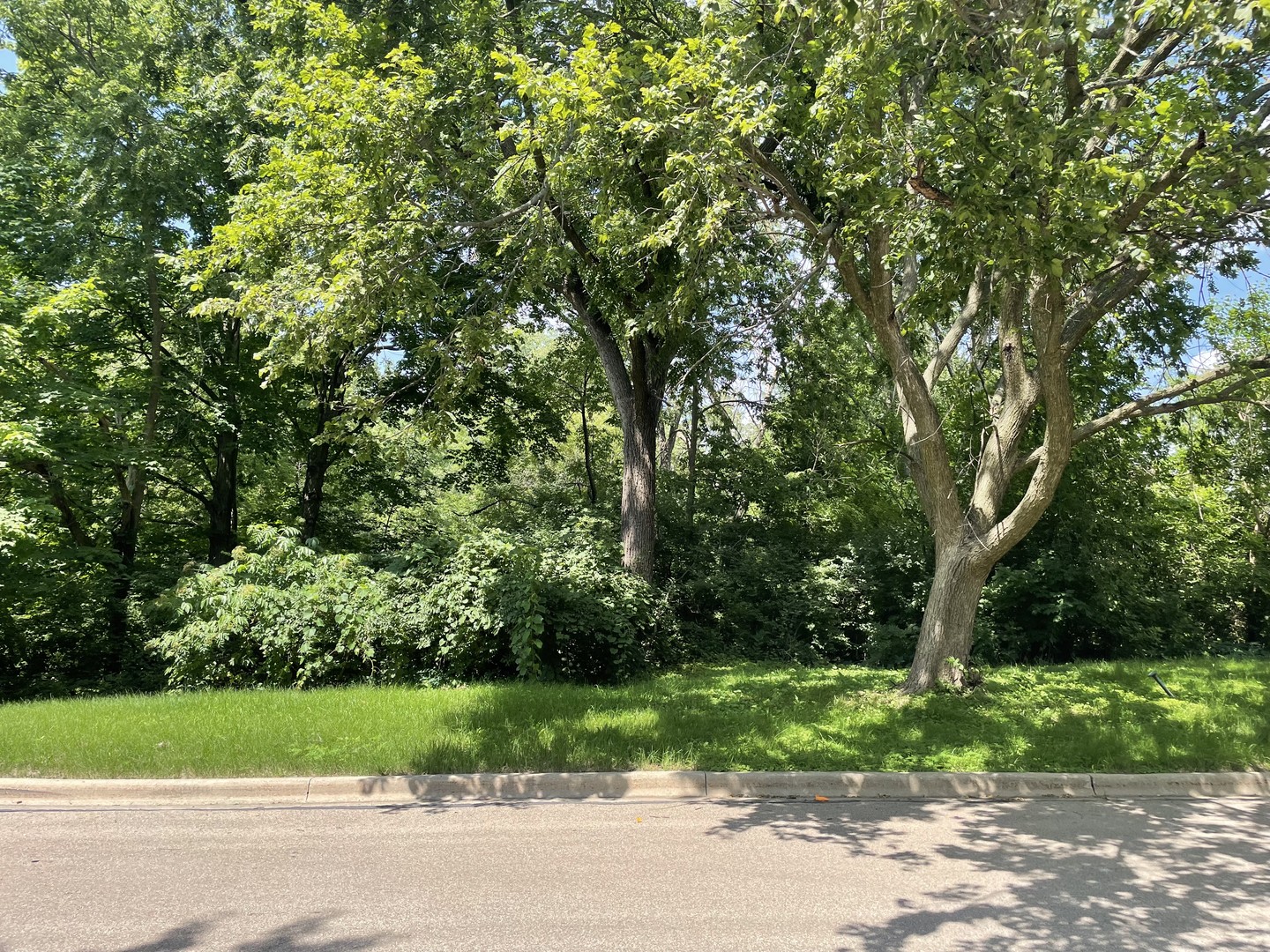 Lot 4 Manchester Avenue Property Photo 1